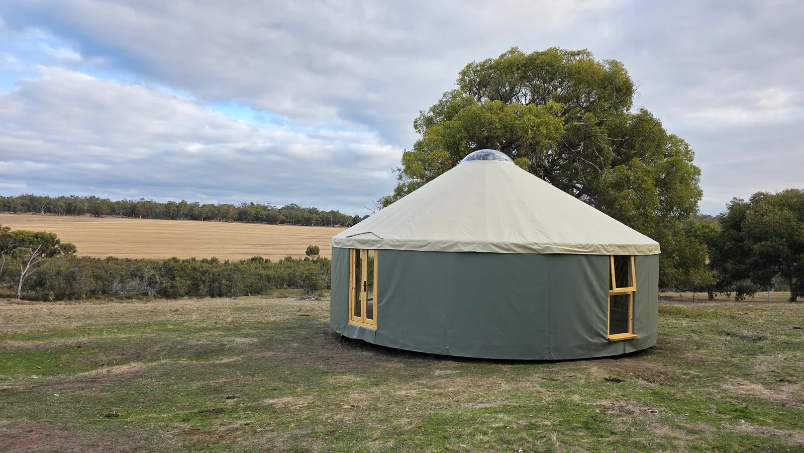 An 8m ORON yurt on open pasture